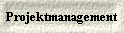  Projektmanagement 